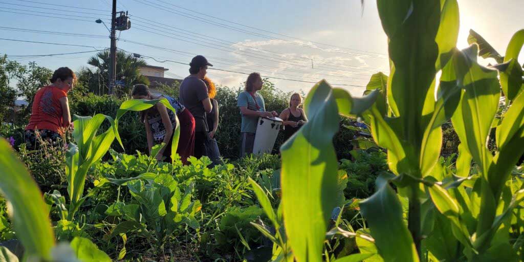 AMANHO, a agroecologia regada a música e cultura popular