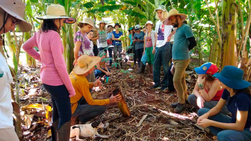 Arte na Terra realiza o curso Semeando Educadores Ambientais na Fazenda São Luiz, em São Joaquim da Barra