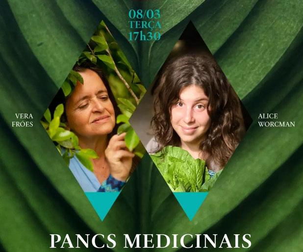 Aula aberta sobre PANCs & medicinais femininas e selvagens