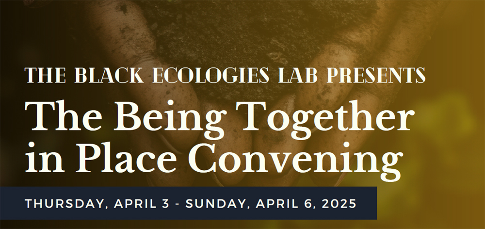 Intercâmbio Internacional fortalece lutas da Agroecologia e Ancestralidade na Serra da Misericórdia