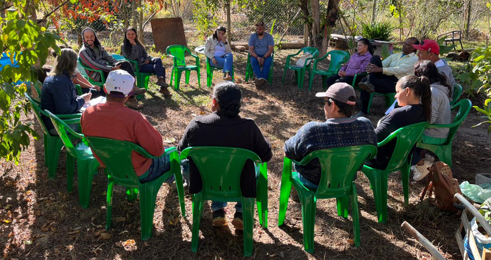 Associação Amanu e projeto Camponês a Camponês semeiam o cooperativismo nos quintais de Minas