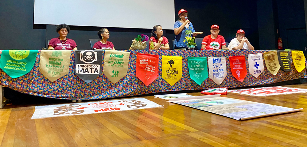 Das negociações globais às raízes locais: o avanço da agricultura familiar nas negociações da COP30 e os 30 anos do Mutirão Agroflorestal