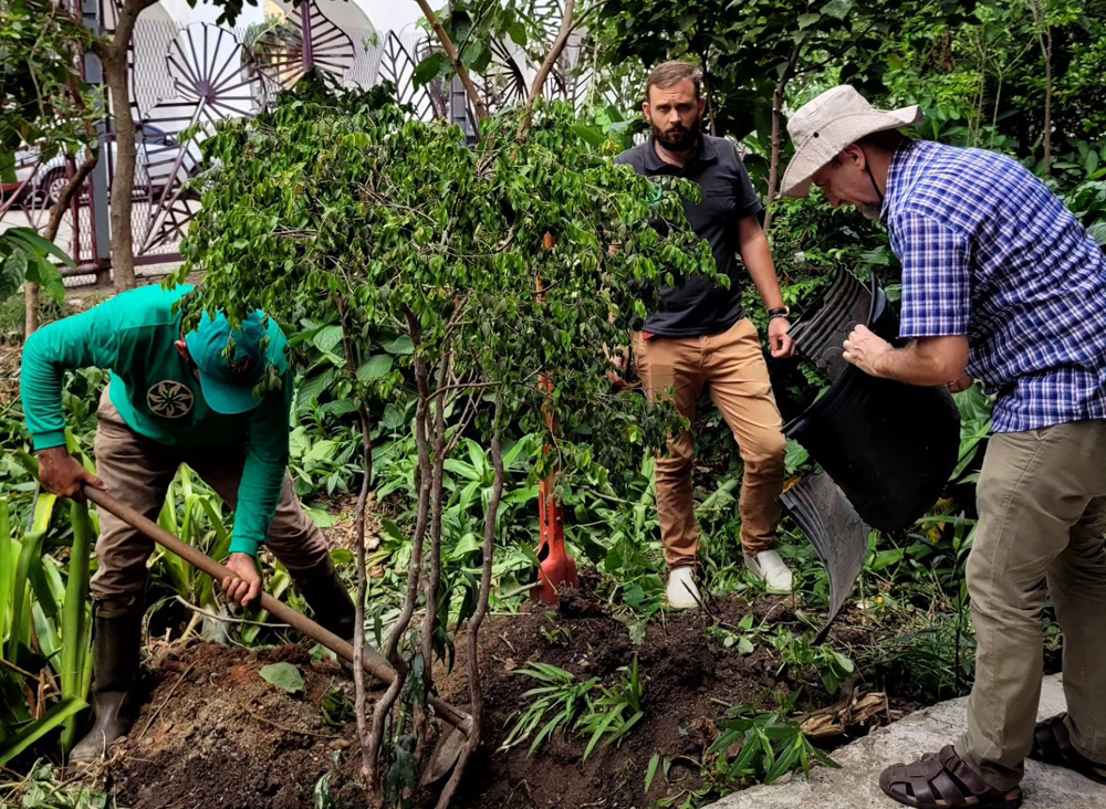 Protegido: Plante Rio celebra dez anos de plantios