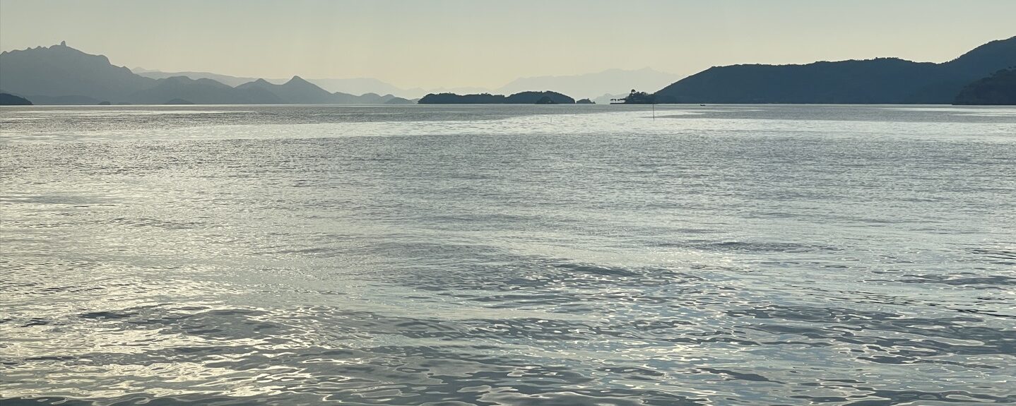 Segundo Encontro Regional da Rede Saúva Jataí aproxima iniciativas de Paraty (RJ)